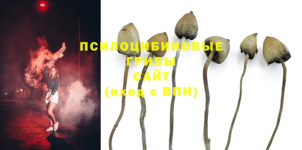 дурь Баксан