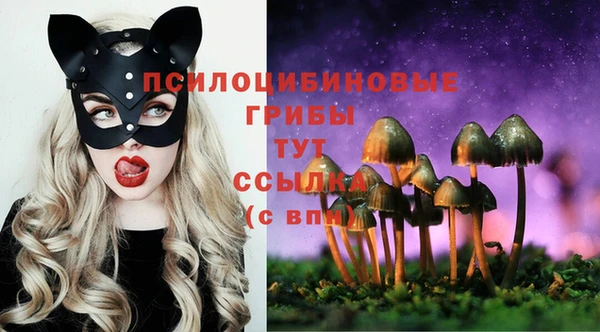 не бодяженный Балахна